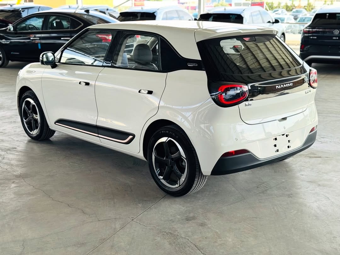 SAKLYORS NORA ELEKTRİKLİ ARABA - görsel 2