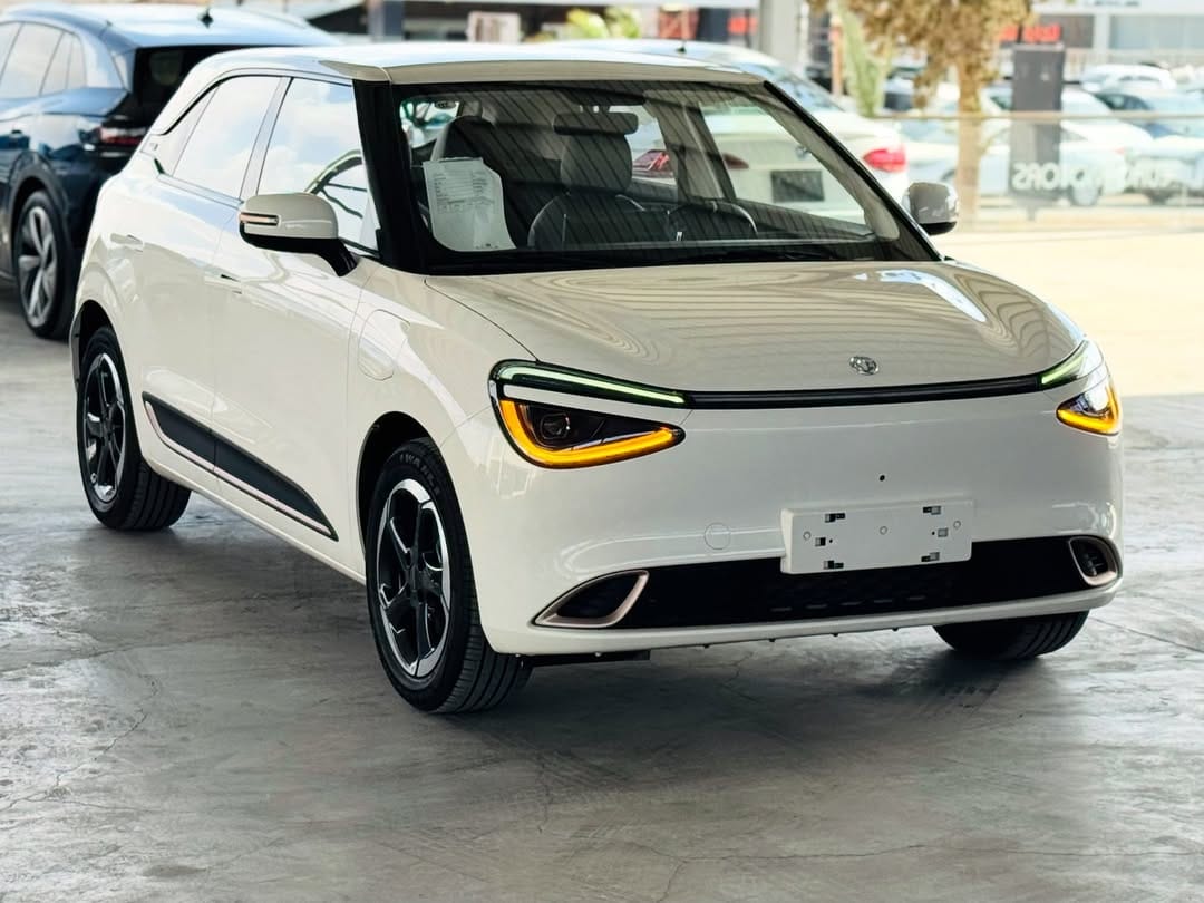 SAKLYORS NORA ELEKTRİKLİ ARABA - görsel 9